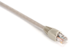 1FT Beige CAT5e 350MHz Patch Cable UTP CM Snagless - EVNSL85-0001 - Black Box