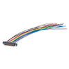 10+10 Pos. Female DIL 24 AWG Cable Assembly, 150mm, single-end, Jackscrew -- M80-FC22068F2-0150L - Image