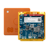 RF, RFID, Wireless Evaluation Boards - 1490-THINGY91X-ND - DigiKey