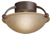 Semi-Flush Mts.-Bowl Style - 239778 - Light Center (The)