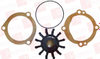 Seal/Gasket Kit -- 141826287