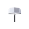 RF Antennas - 6099-PEANOM1127-ND - DigiKey