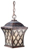 Exterior -Hanging - 73609 - Light Center (The)