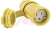 Electrical Connector; 15 A; 125 V; BackWire; Straight; Yellow; PVC; Nylon - 70116150 - Allied Electronics, Inc.