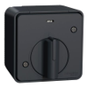Light Switches -- 1611281 - Image