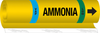 Brady B-689 Black / Blue / Green / White on Yellow Polyester Wrap-Around Pipe Marker - 3/4 in Character Height - Printed Msg = AMMONIA - 58004 - 754476-58004 - R. S. Hughes Company, Inc.