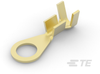 Ring Terminals - 880643-1 - TE Connectivity