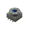 DIP Switches - 2449-RD10RA8CGRTR-ND - DigiKey