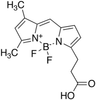 3-Bodipy-propanoic Acid - 7678 - Medical Isotopes, Inc.