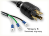 LOCKING NEMA L6-30P JAPAN to ROJ SPECIAL HOME // Power Cords // International Power Cords // Japan/Taiwan Power Cords -- 3040.118 - Image
