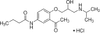 Acebutolol HCl - 4781 - Medical Isotopes, Inc.