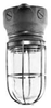 Vaporproof Incandescent Fixture with Globe and Guard - VXHA2050G-M - Appleton Electric