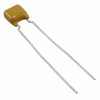 Ceramic Capacitors - C628C103KGR5TA - ODG (Origin Data Global)