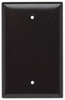 Standard Wall Plate -- SPJ13 - Image