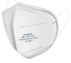 Disposable Respirators -- 2697268 - Image