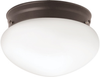 Flush Mounts-Bowl Style - 66907 - Light Center (The)