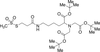 Ethylmethanethiosulfonate-2-carboxy[(5’-amino-1.. - E925025 - Toronto Research Chemicals, Inc.