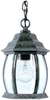 Exterior -Hanging - 299812 - Light Center (The)