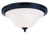 220-BK Flush Mounts-Bowl Style - 494894 - Capital Lighting, Inc.