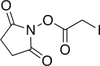N-Succinimidyl Iodoacetate - S690290 - Toronto Research Chemicals, Inc.