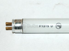 13 Watt, 21 Inch T5 Daylight White Fluorescent Bulb -- U3000069 - Image