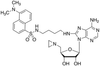 8-Amino[1”-(N”-dansyl)-4”-aminobutyl]-5.. - A603685 - Toronto Research Chemicals, Inc.