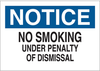 No Smoking Sign - 25091 - Brady Corporation