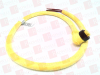 QD Cable/Cord Set - 99615263 - Radwell International