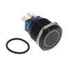 Pushbutton Switches - 2449-DH251LBBGN-ND - DigiKey