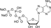Adenosine 5’-Triphosphate Disodium Salt - A281810 - Toronto Research Chemicals, Inc.