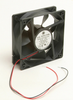 USTF12038 - Image