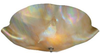 114167 Flush Mounts-Bowl Style - 667778 - Capital Lighting, Inc.