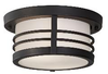 OL8313DRC Exterior -Ceiling Mount - 371092 - Capital Lighting, Inc.
