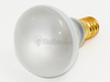 40 Watt, 130 Volt European R14 Frosted Reflector Flood - B208040 - bulbs.com