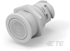 Push Button Switches - K1151649 - TE Connectivity