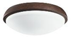 380117TZ Fans-Light Kits - 344746 - Capital Lighting, Inc.