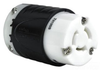 Locking Device Connector -- 7313-SS - Image