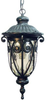 Exterior -Hanging - 316326 - Light Center (The)
