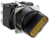 Switch, Selector, Illuminated, Dpdt, 2 Position, 100Ma, 125Vac; No. Of Switch Positions Idec - 65W4296 - Newark, An Avnet Company