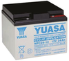 Lead Acid Batteries -- 1988125