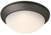 Flush Mounts-Bowl Style - 356890 - Light Center (The)