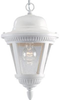Exterior -Hanging - 285159 - Light Center (The)