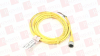 QD Cable/Cord Set - 63003187 - Radwell International