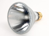 50 Watt, 130 Volt Halogen Long Neck PAR30 Spot - FAN3028 - bulbs.com
