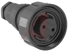 Connector, Standard Buccaneer ; Socket;2; 69.0 mm; 38.1 mm; 3.5 to 9 mm; 10 A -- 70099210