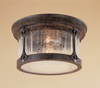 Exterior -Ceiling Mount - 219 - Light Center (The)