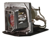 P-VIP 230W Lamp -- BL-FP230D - Image