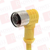 QD Cable/Cord Set - 4204472 - Radwell International