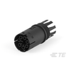 Solid State Lighting Connector Assemblies - 1-293615-1-ND - DigiKey