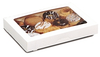 Dixie® Flat Dozen Donut Box with Insert - Georgia-Pacific Corporation